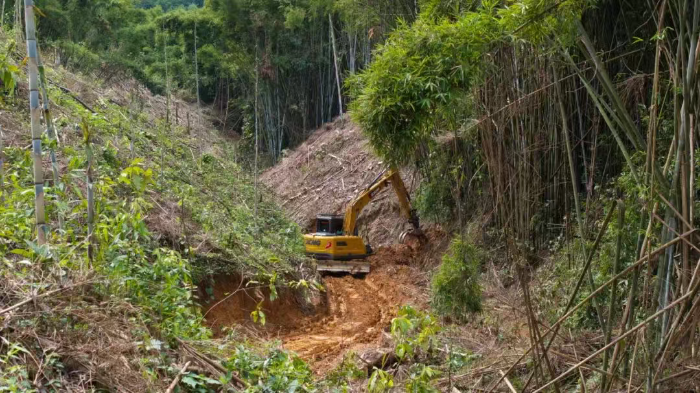林間“藏龍”，竹海“臥虎”——徐工林業(yè)挖機(jī)廣西俠客行